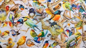 Bird Power (Detail);Watercolour on acid free paper;Size – 48 X 36 inches