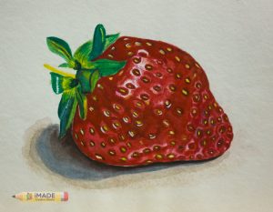 strawberry-realistic-watercolour-2