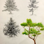architecture-foundation-coaching-tree-rendering