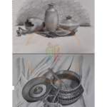 Architecture Foundation Course Still life sketching